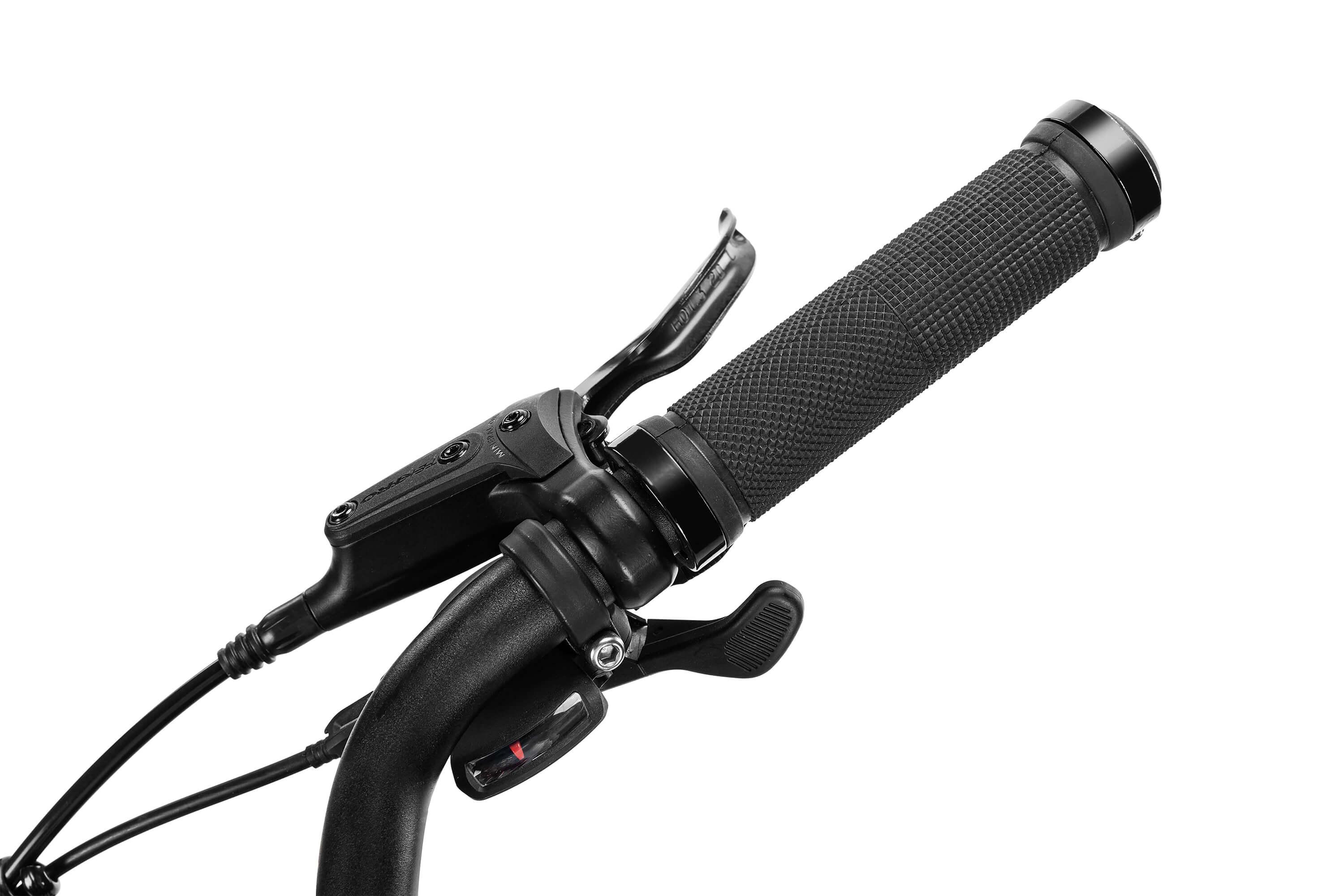 techtron Ultra 8000 Electric Bike techtron